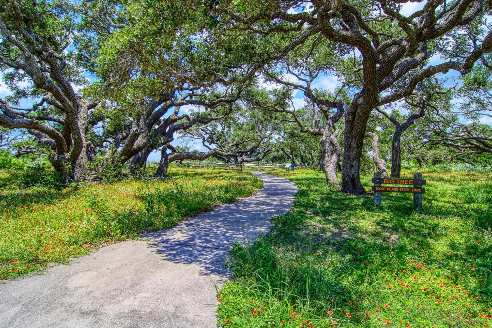 Myrtle Villa Rockport Dış mekan fotoğraf